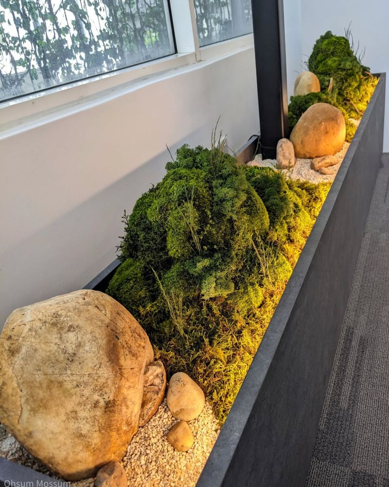Moss-Covered Stone Planters