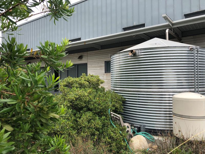 Water-Harvesting Smart Canopies