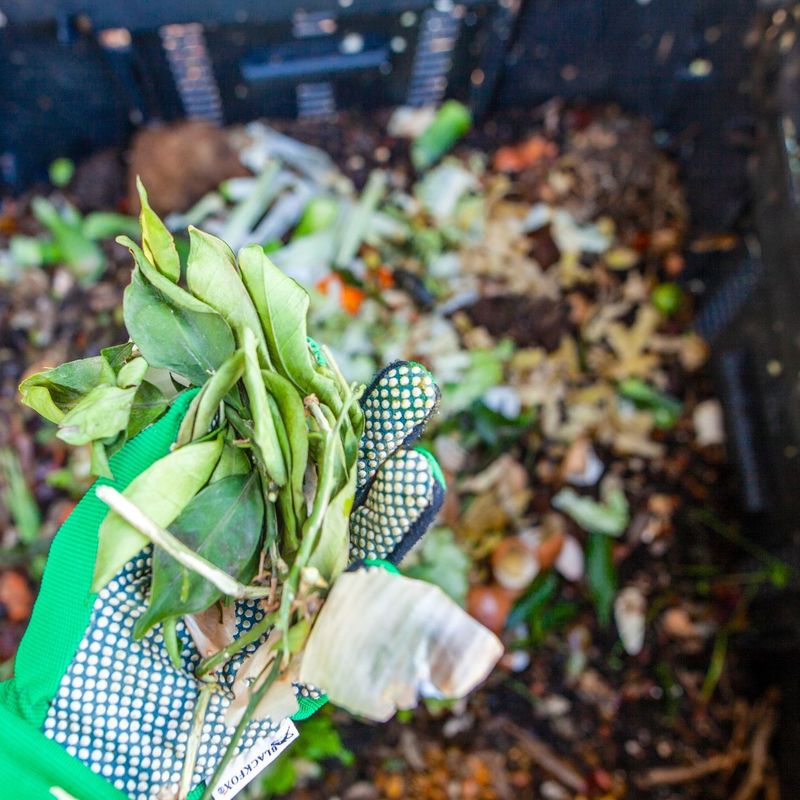 Four-Season Composting Success