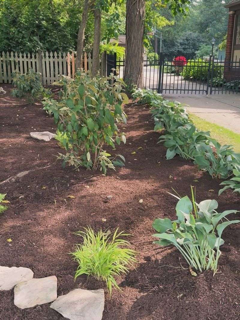 Mulched Perennial Beds