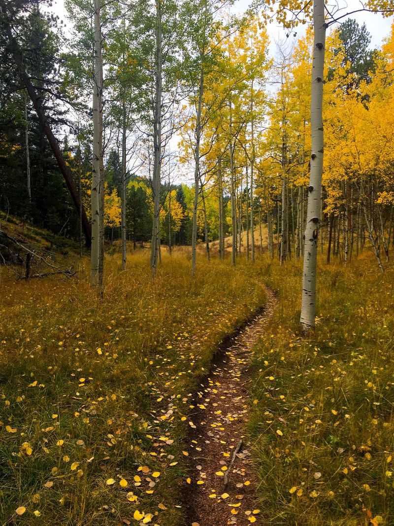 Estes Park