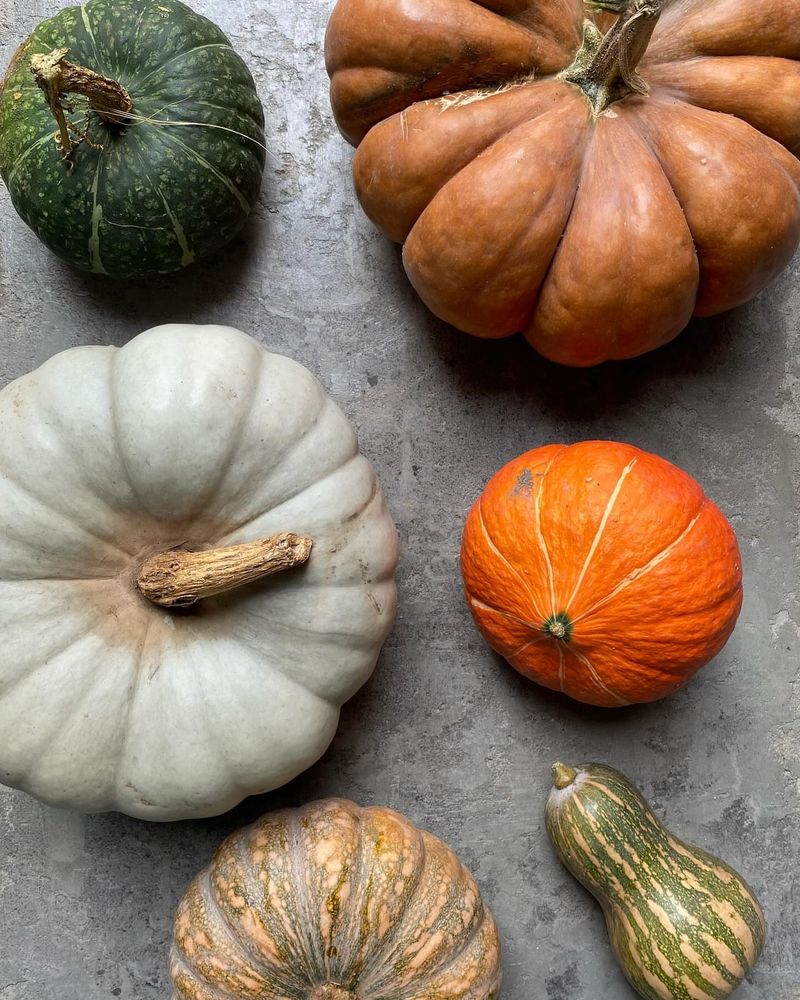 Heritage Squash Varieties