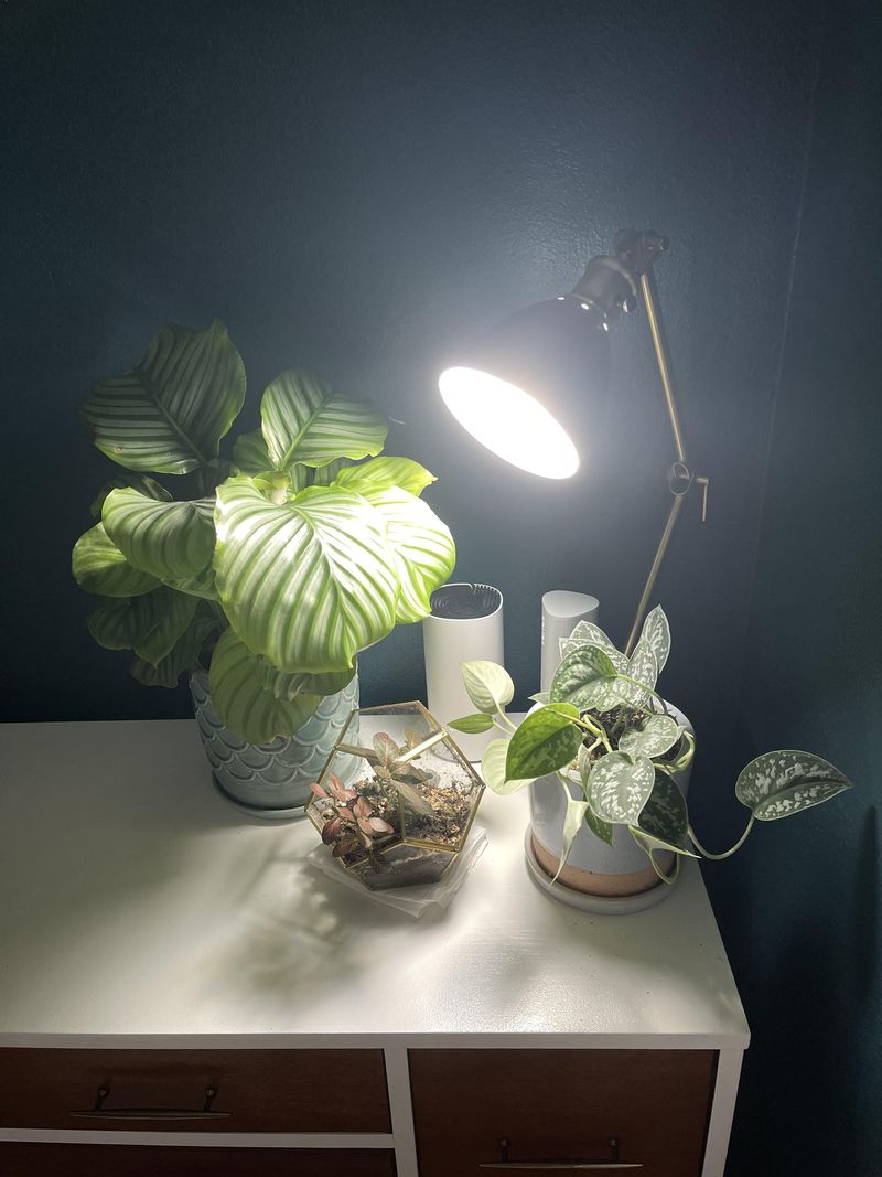 Clip-On LED Plant Spotlight
