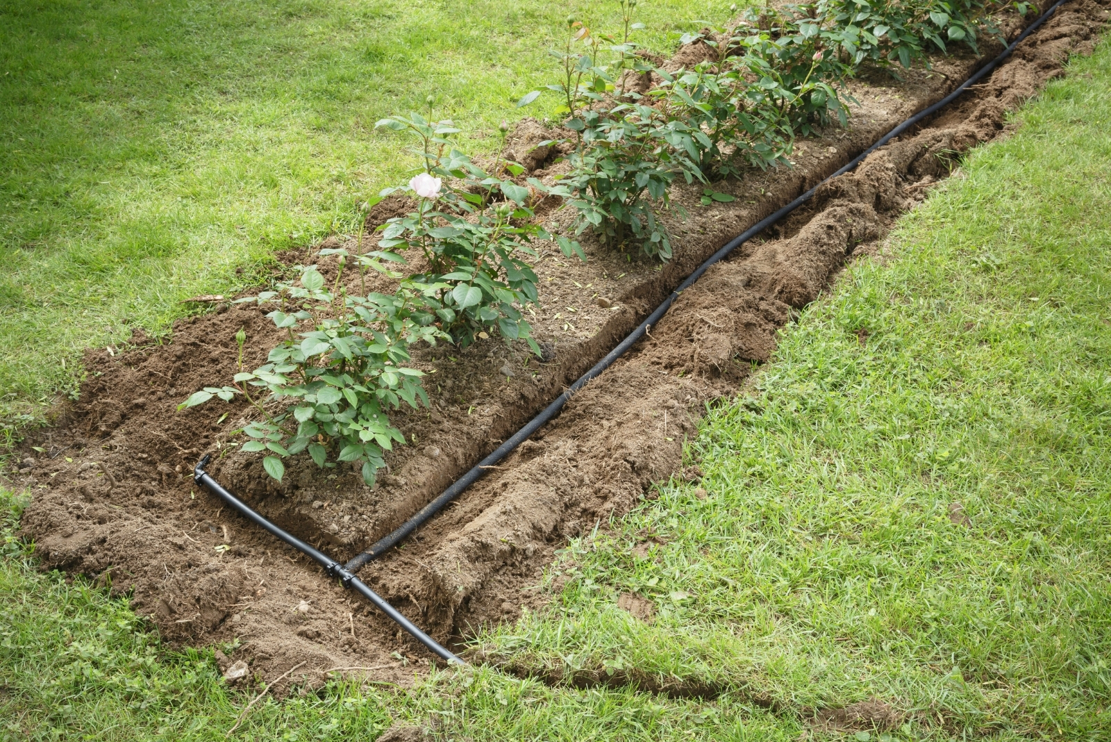 Soaker hoses (featured image)