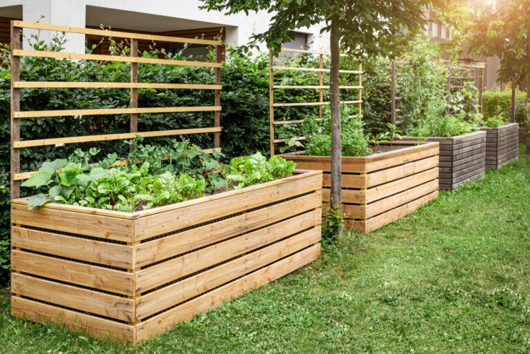 Garden Raised Beds (featured image)