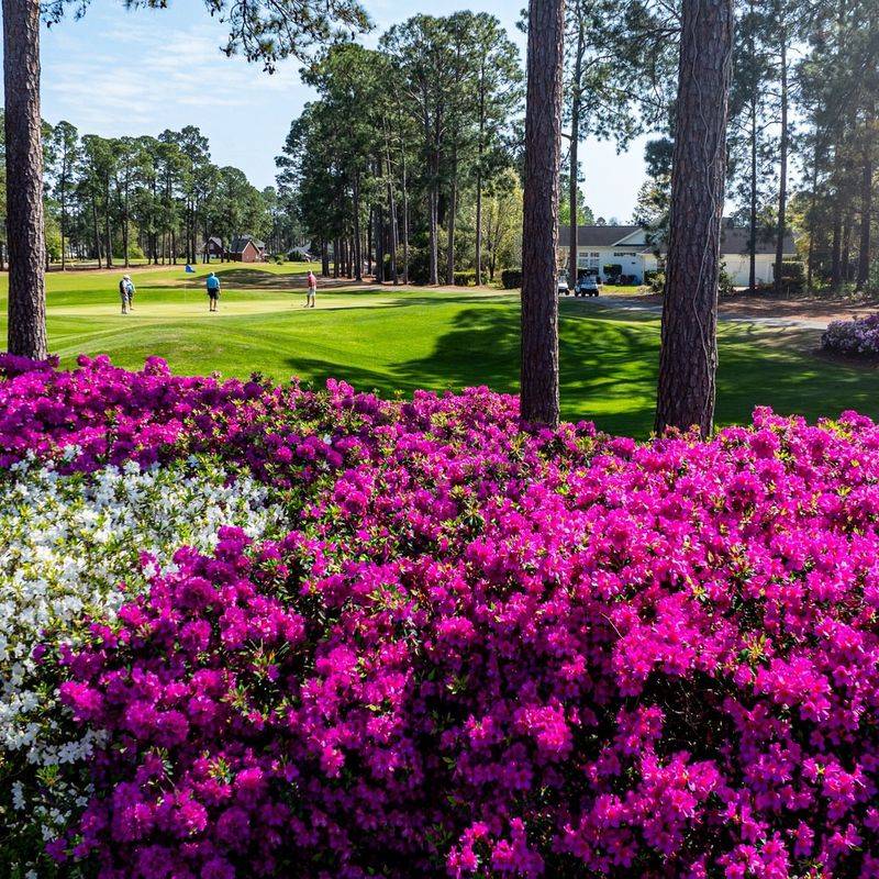 Pinehurst's Golf Course Gardens