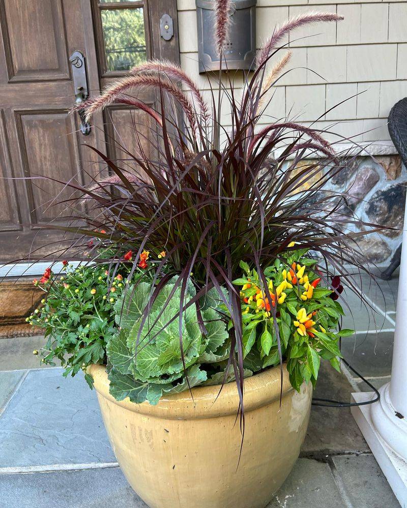 Water-Wise Ornamental Grasses