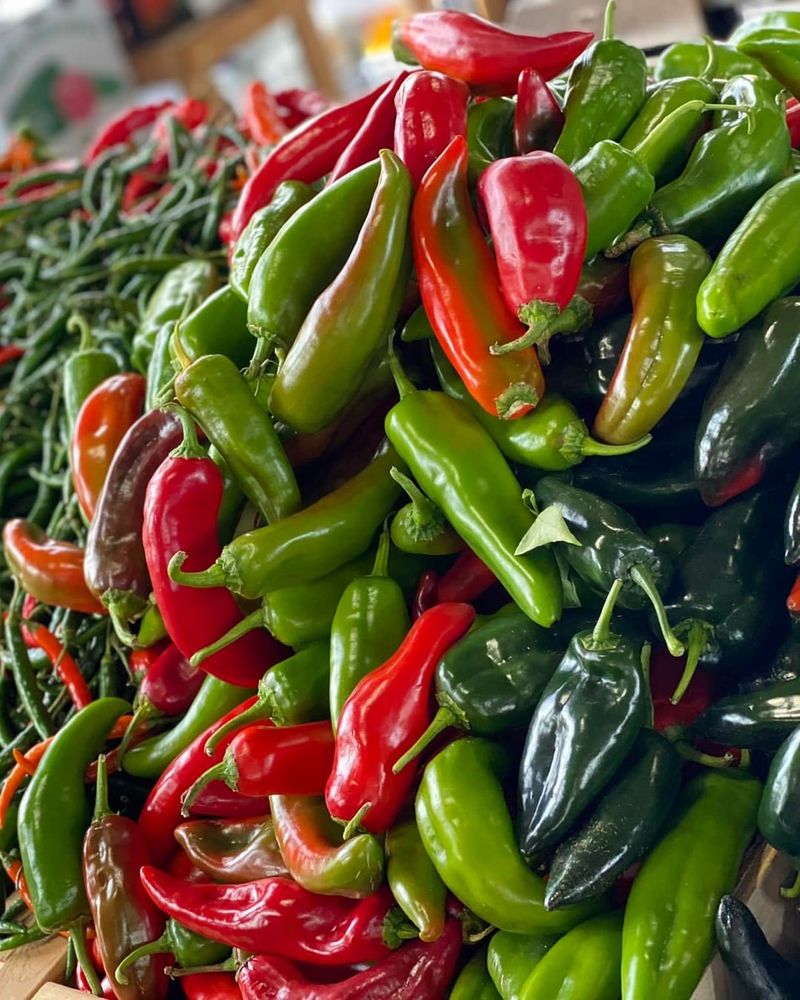 Summer Pepper Rainbow