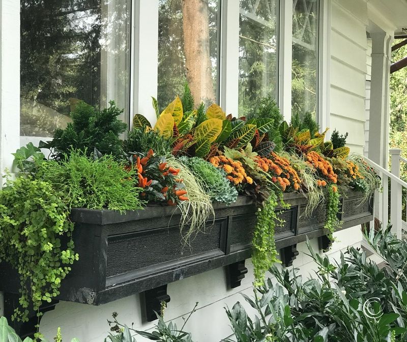 Winter Interest Planters
