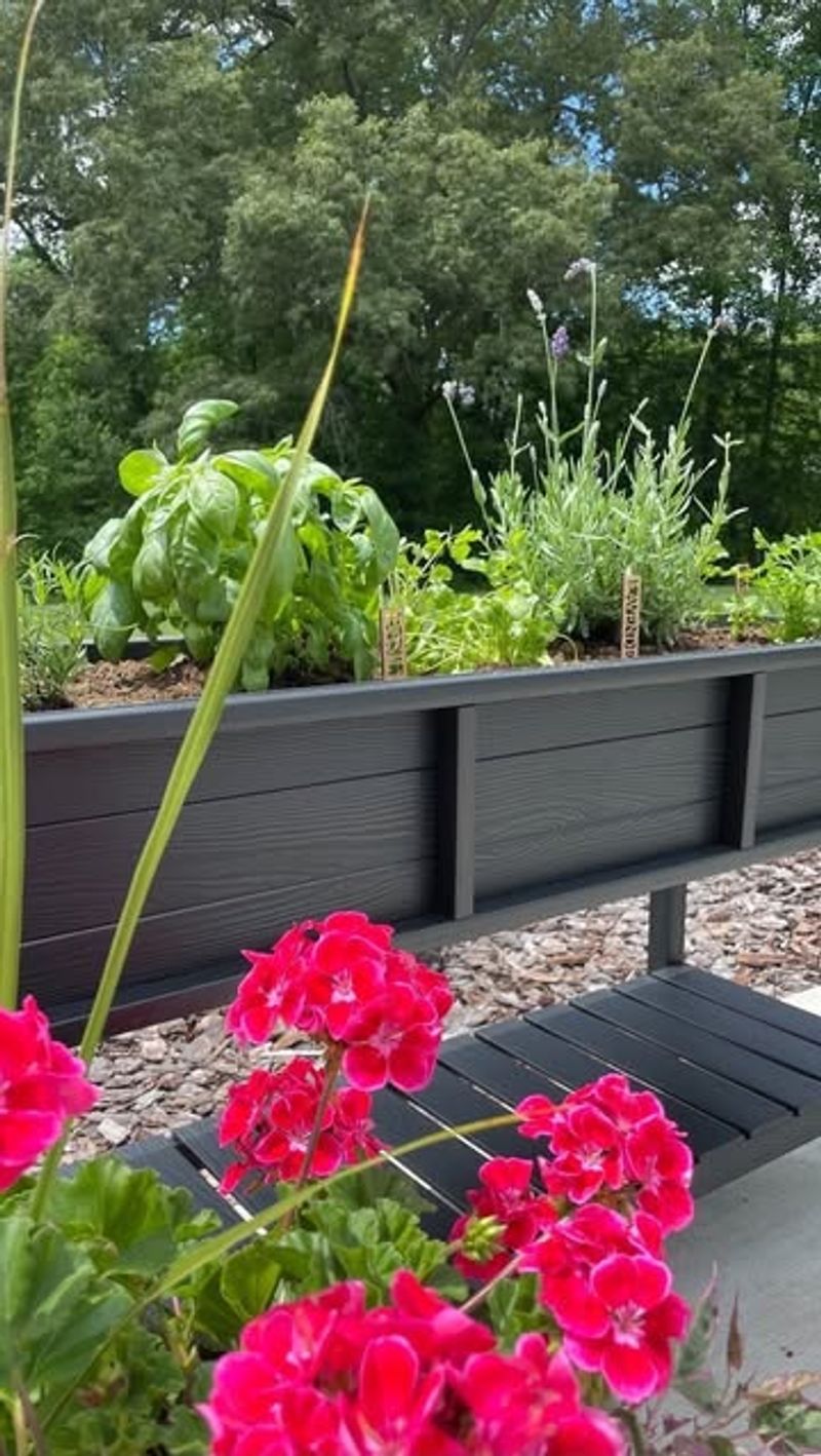 Rain Garden Filtration Systems