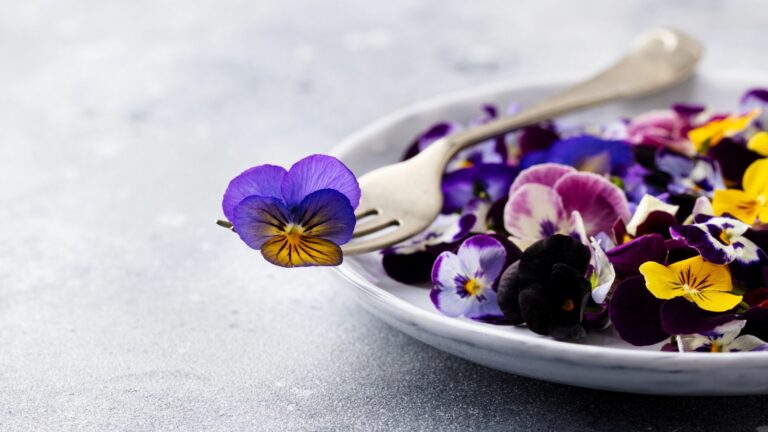 edible flowers