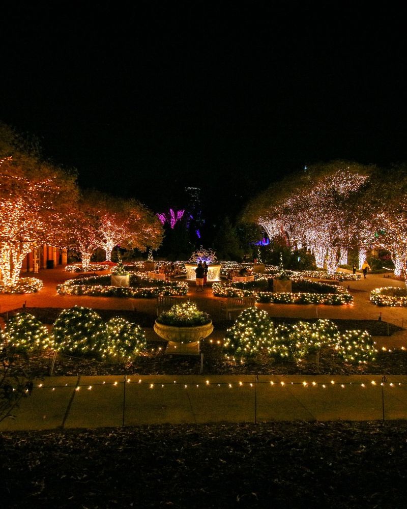 Spectacular Holiday Light Shows