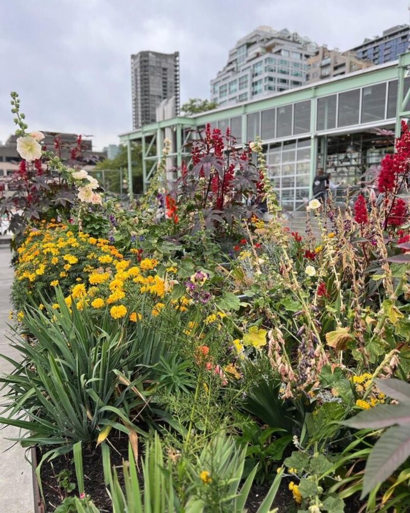 Pollinator-Friendly Plantings For Urban Bees