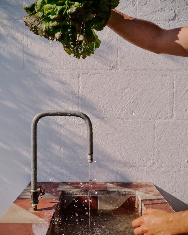 Garden-to-Table Rituals