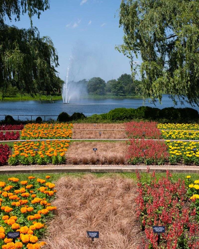 Water Features Surrounding The Landscapes