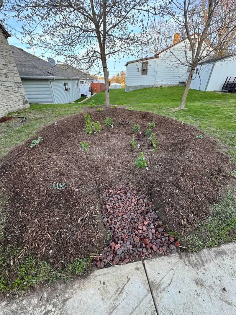 Rainwater Basins With Tree Clusters