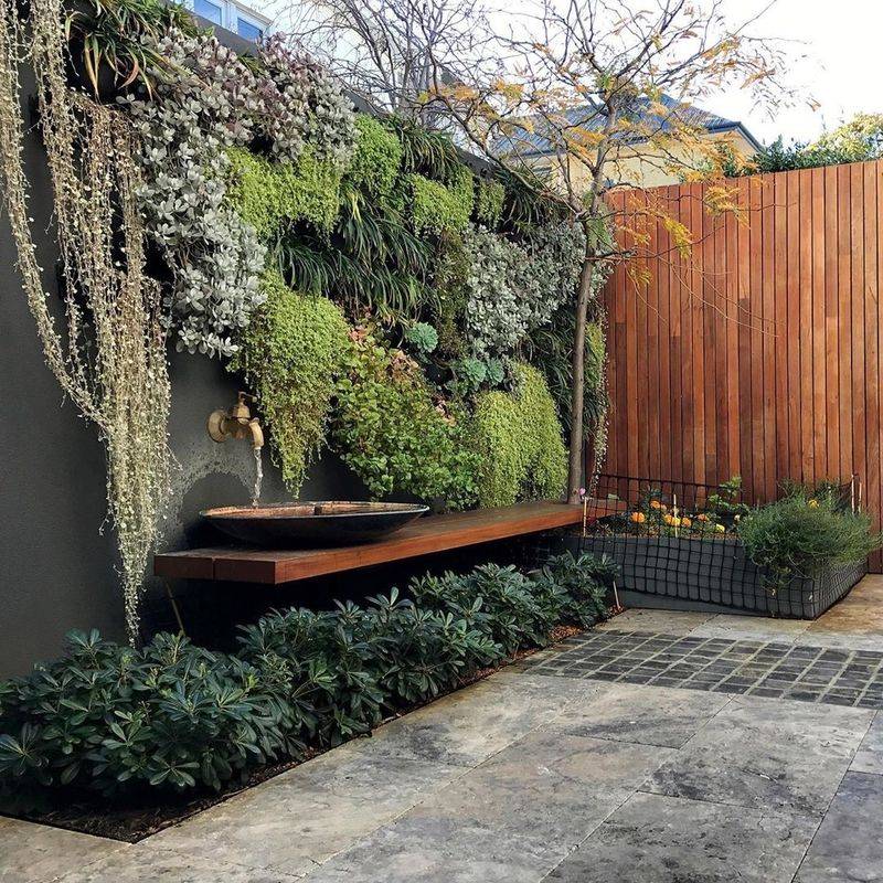 Tropical Privacy Fence Enhancement