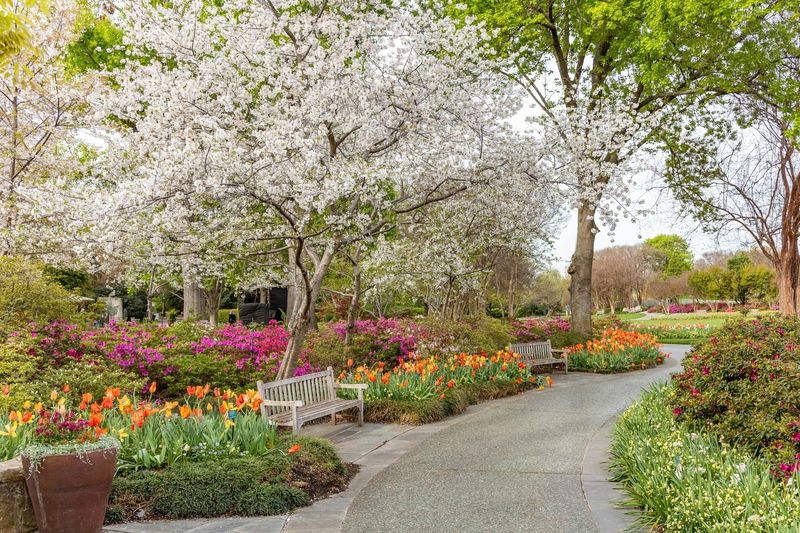 Future Growth Plans For The Arboretum