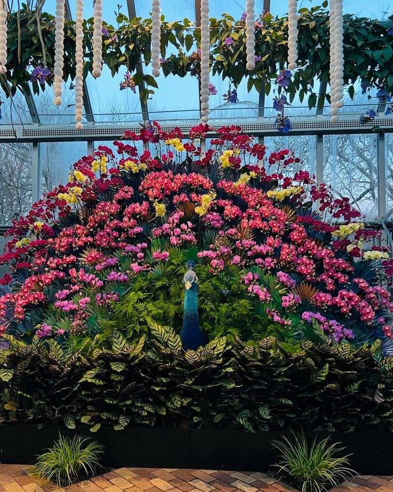 Seasonal Exhibits And Rotating Plant Displays