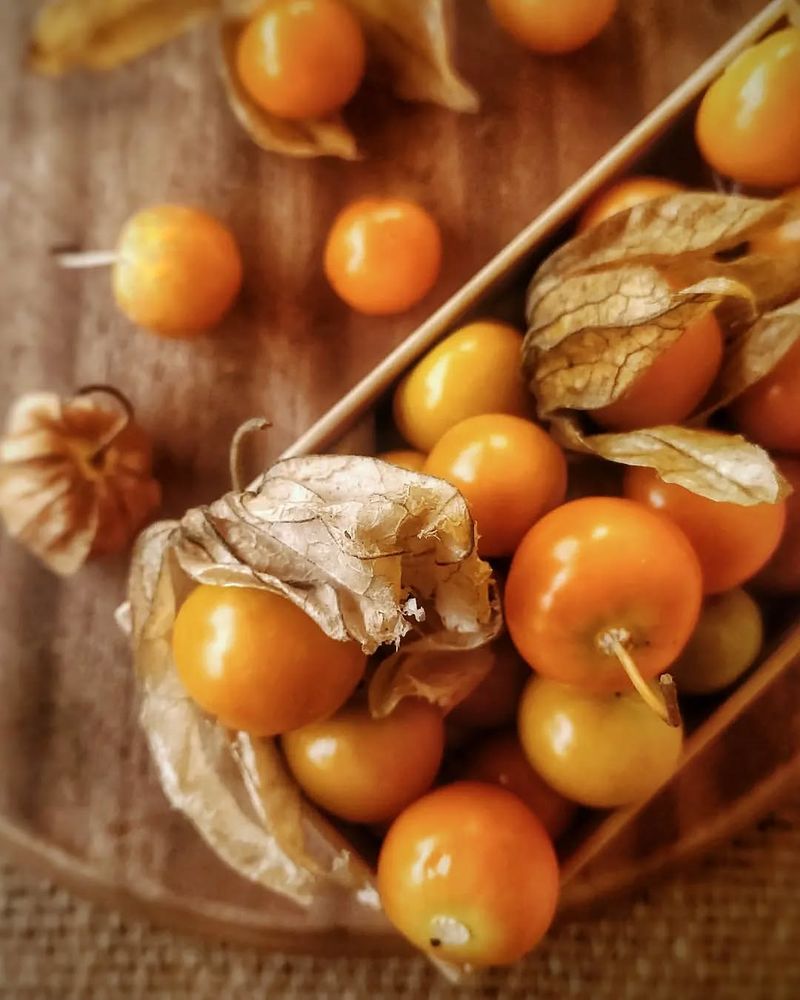 Ground Cherry Goodness