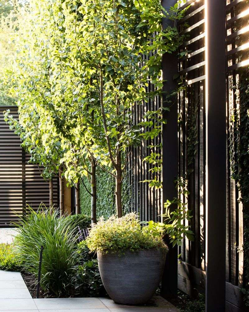 Create Natural Boundaries With Strategic Plantings