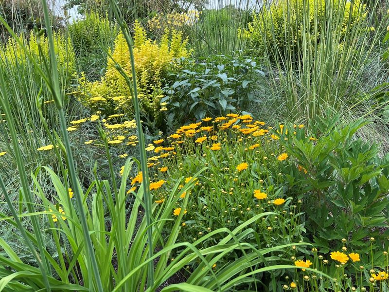 Maintain Regular Garden Cleanup