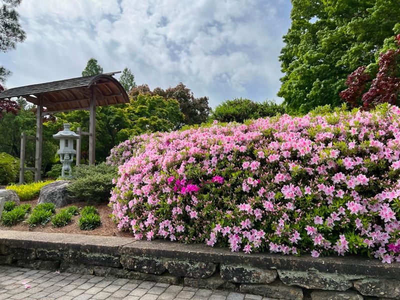 Historic WPA Azalea Garden