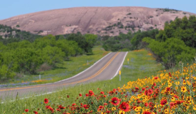 Round Top's Roadside Flower Stands