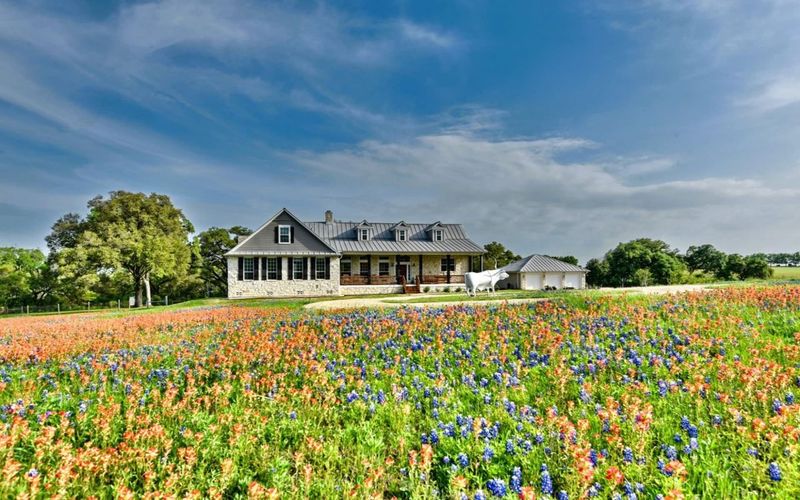 Brenham: Bluebonnet Heaven in Washington County