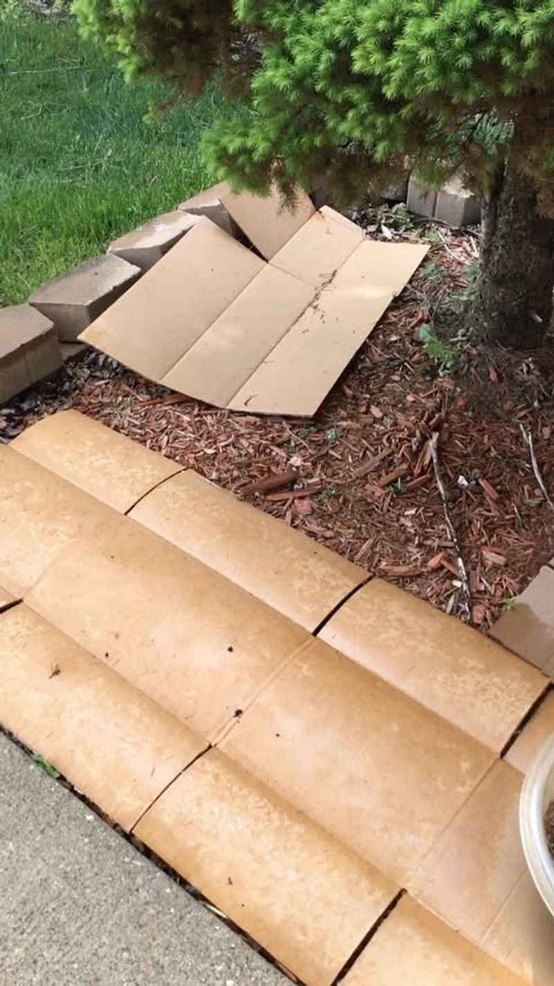 Cardboard Weed Barrier