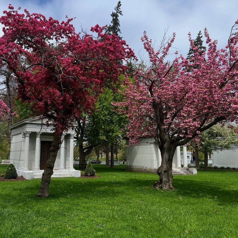 Forest Lawn Cemetery Gardens