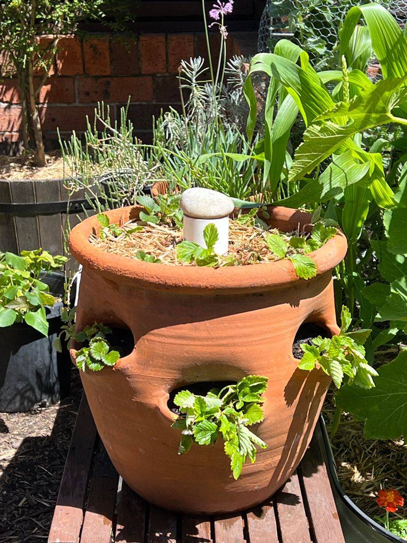 Tiered Strawberry Towers
