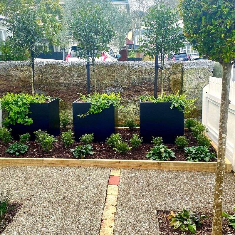 Oversized Planters with Specimen Plants