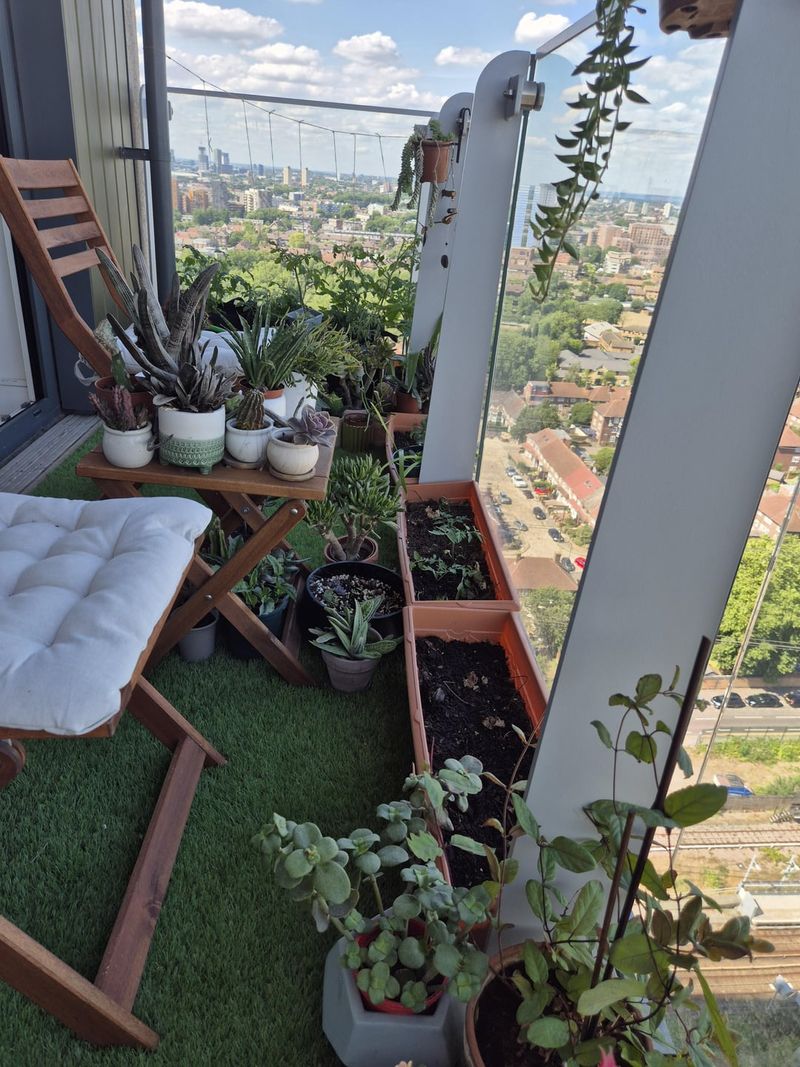 Shade-Loving Woodland Garden