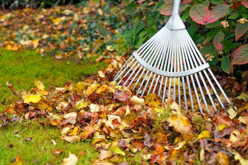 Start A Compost Pile With Fall Leaves