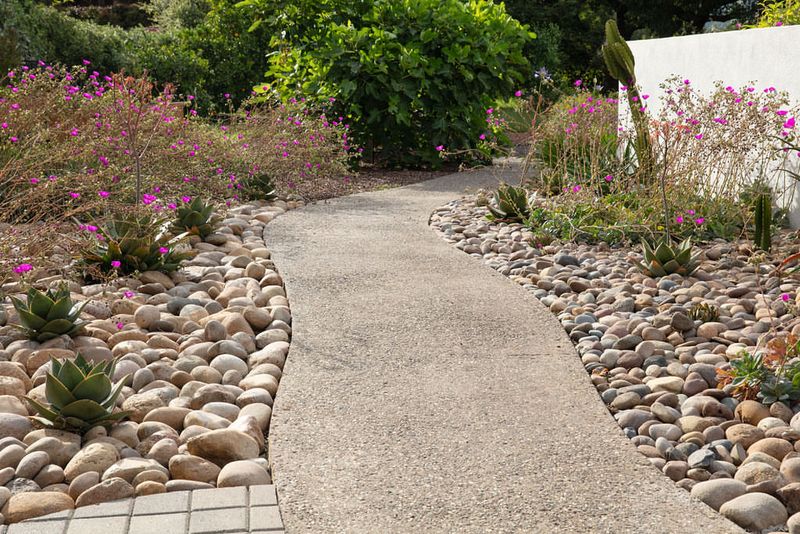 Drought-Resistant Beauty
