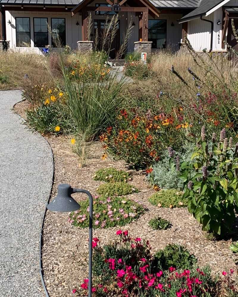 Xeriscaping Gone Wrong