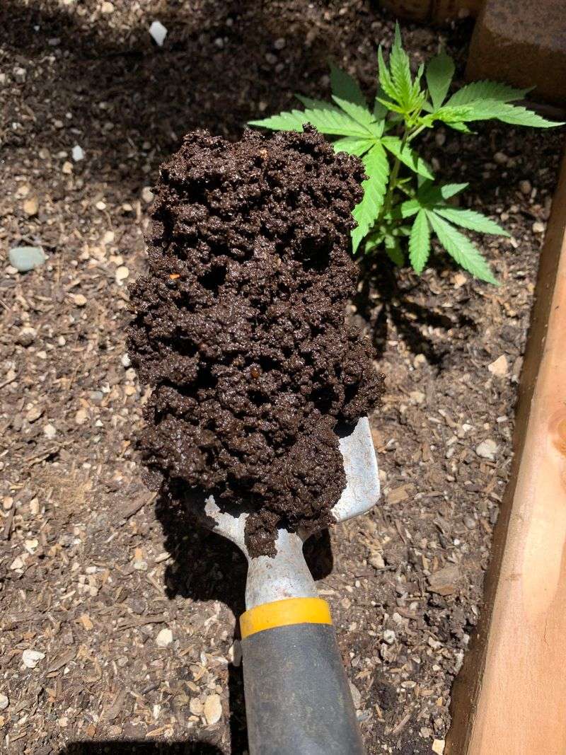 Use Your Compost Wisely