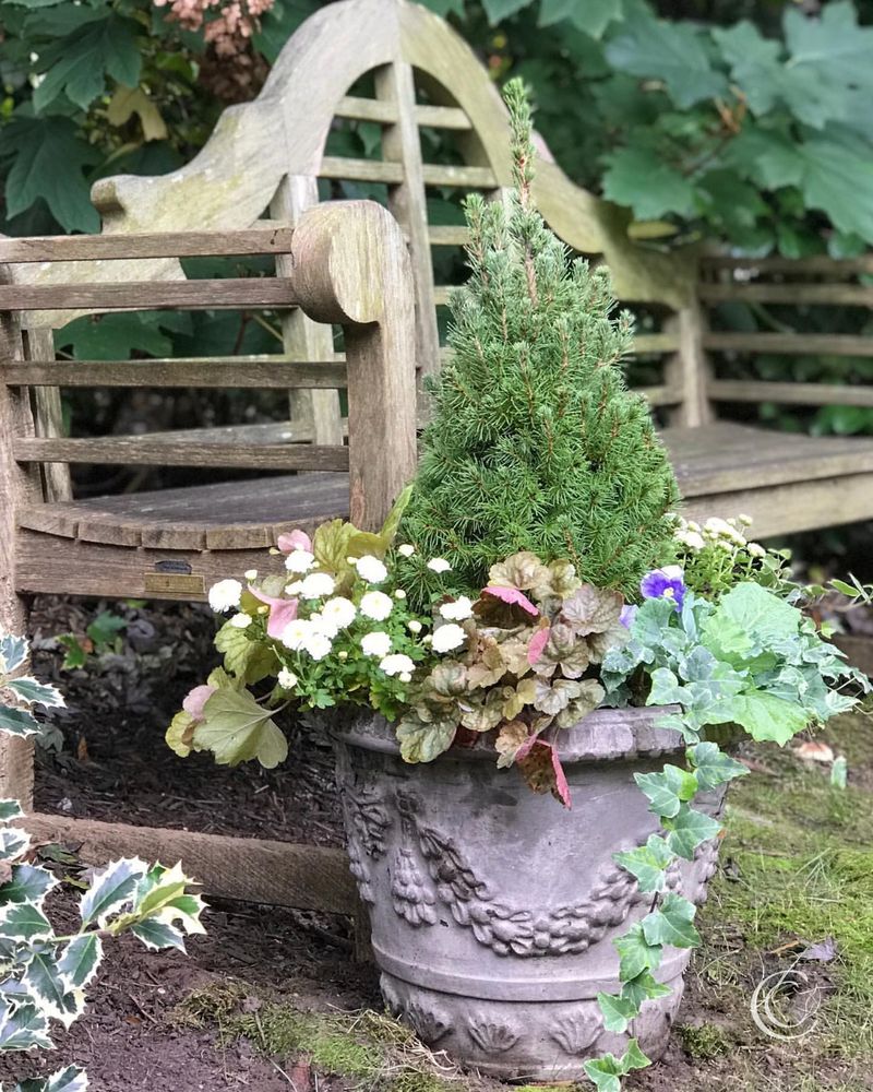 Maintain Your Container Garden For Continuous Harvests