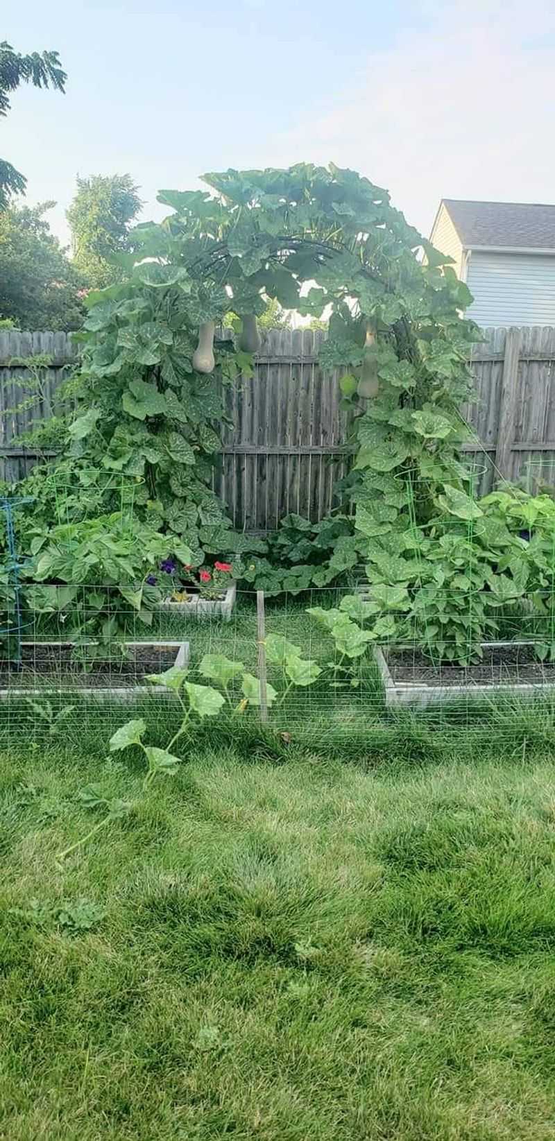 Saving Garden Space