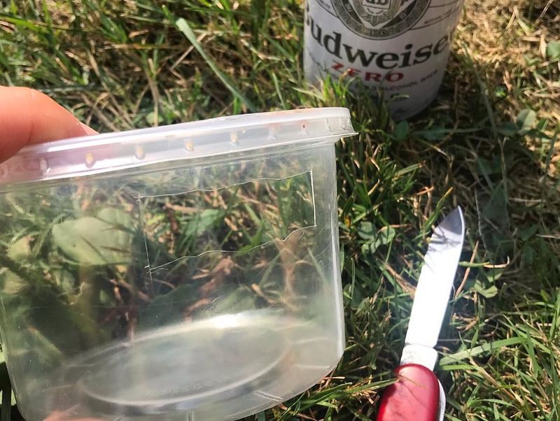 Beer Trap With Escape Route