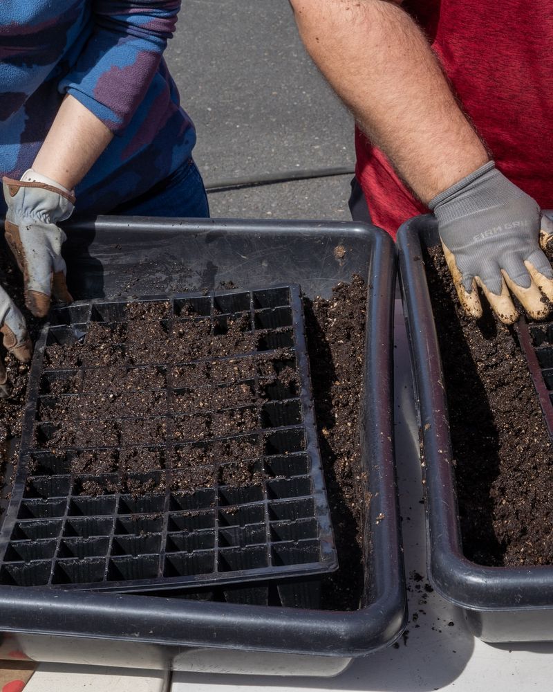 Community Compost Programs