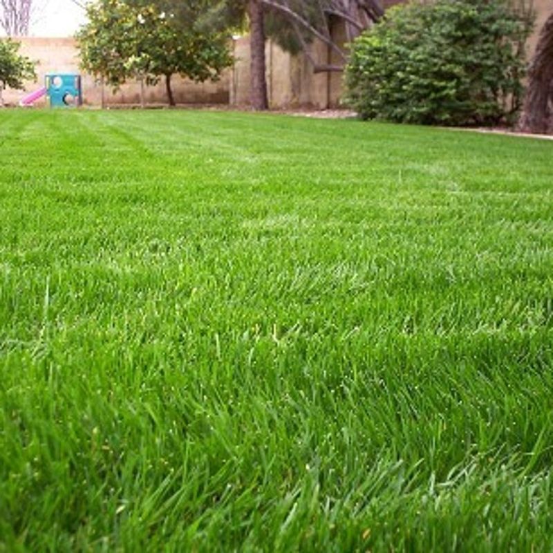 Perfect Timing For Cover Crops