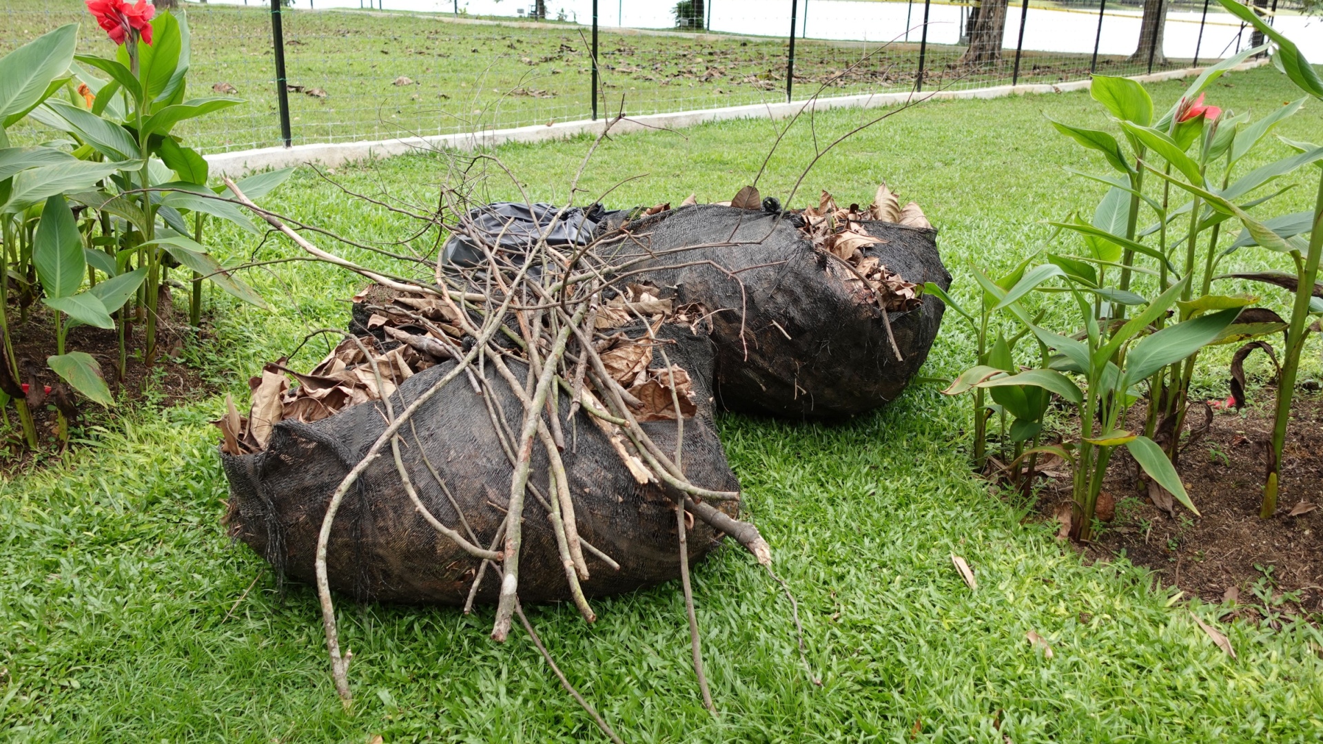 Fall Gardening Checklist For Michigan Homeowners