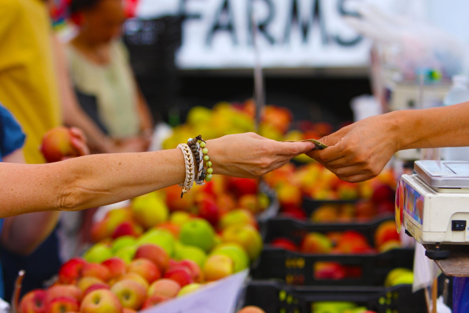 Union Square Greenmarket,