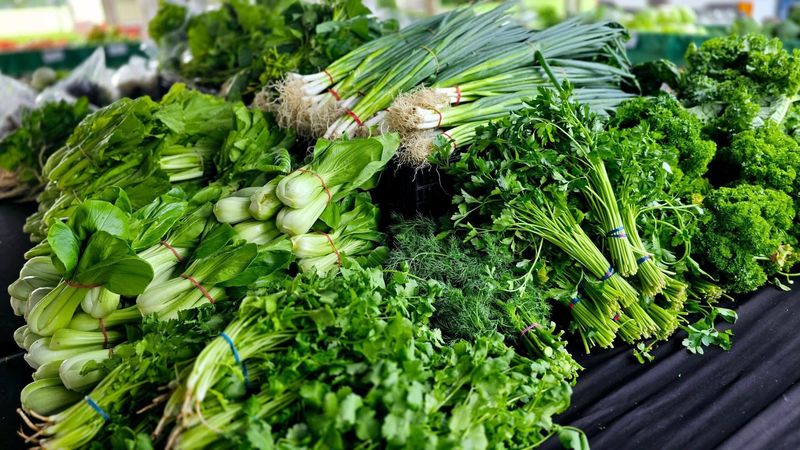 Seasonal Greens That Reflect Local Farms