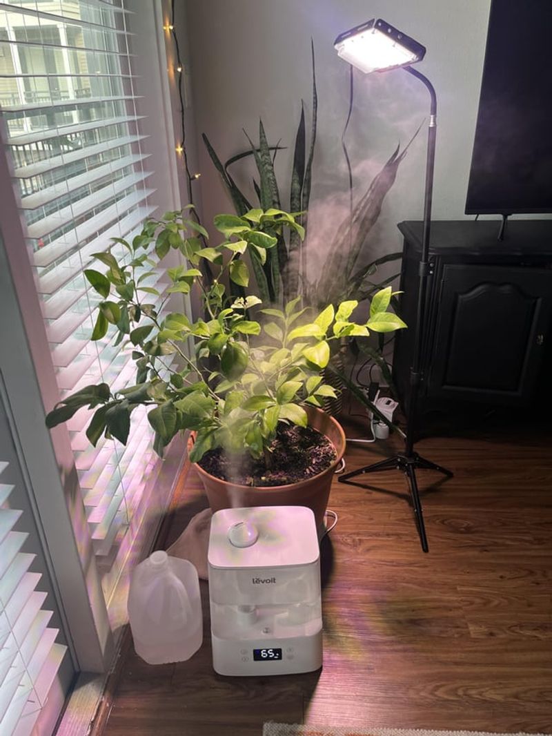 Control Humidity Levels