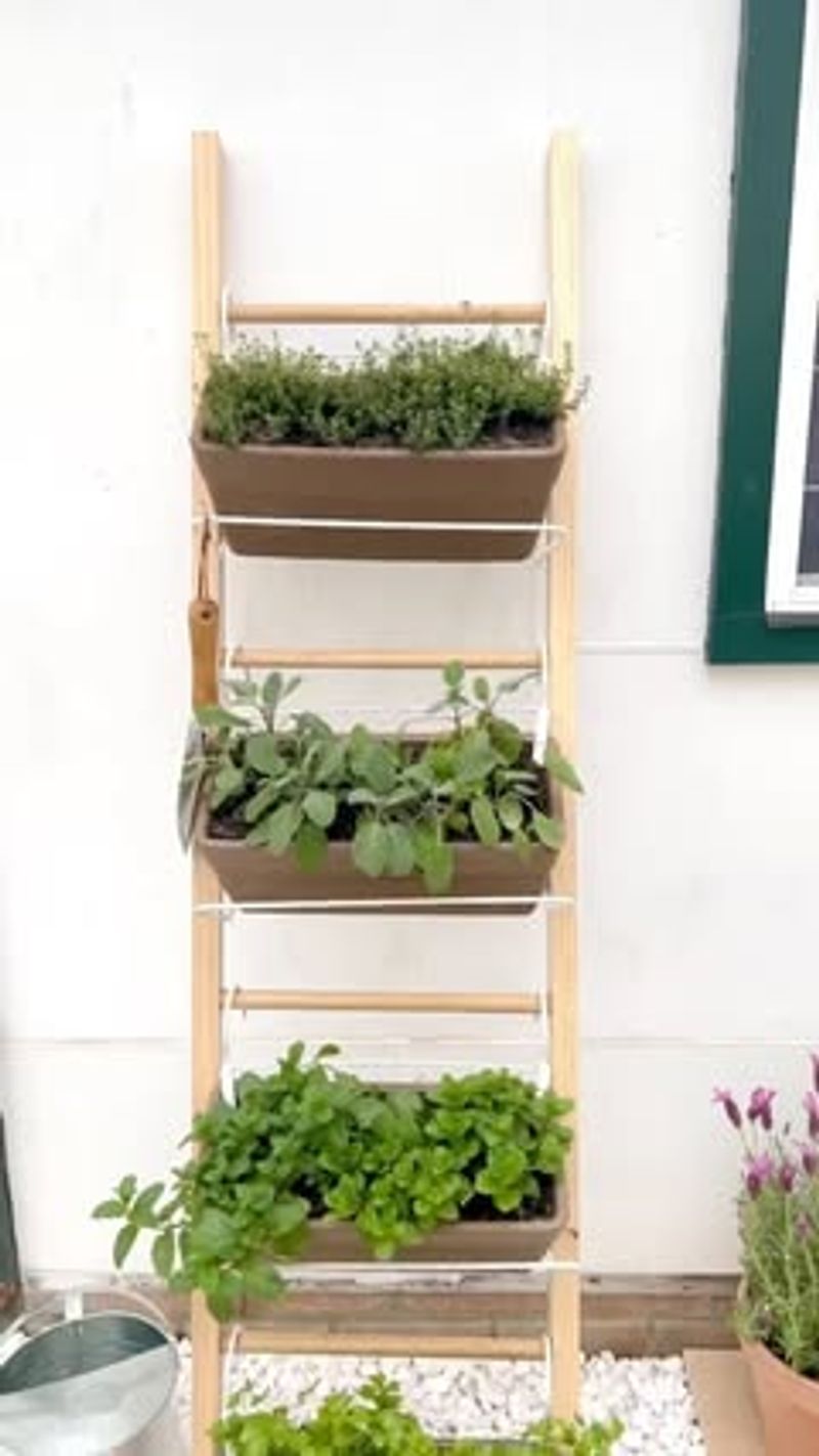 Ladder Bucket Display