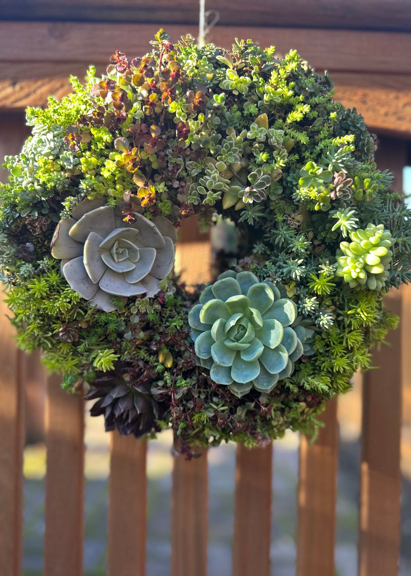 Vertical Succulent Wreaths