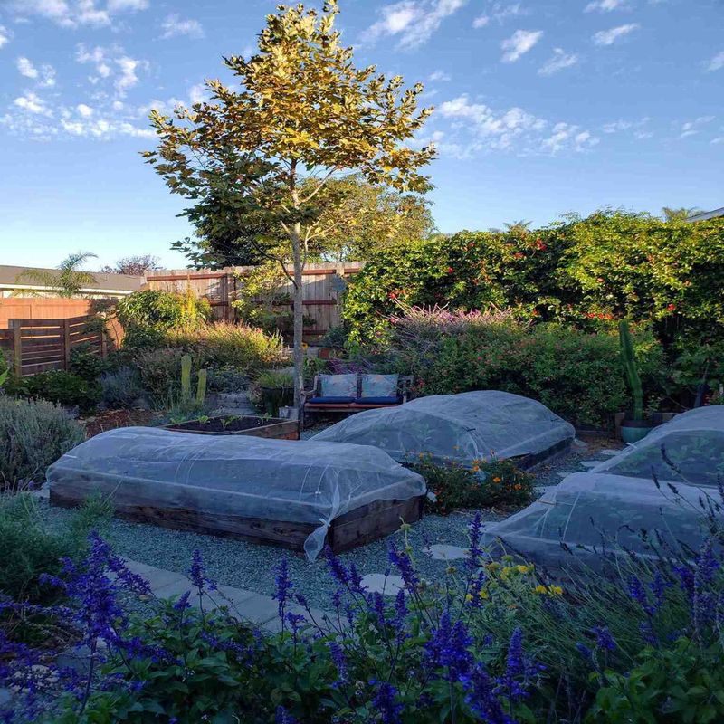 Create Microclimate Maps Of Your Garden